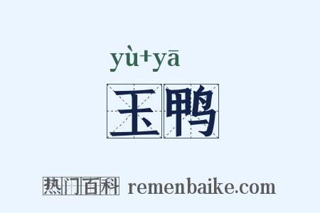 玉鸭是什么意思的图片